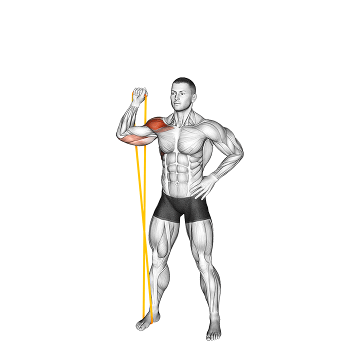 Person performing a band single-arm shoulder press, targeting deltoids, triceps, and core muscles.