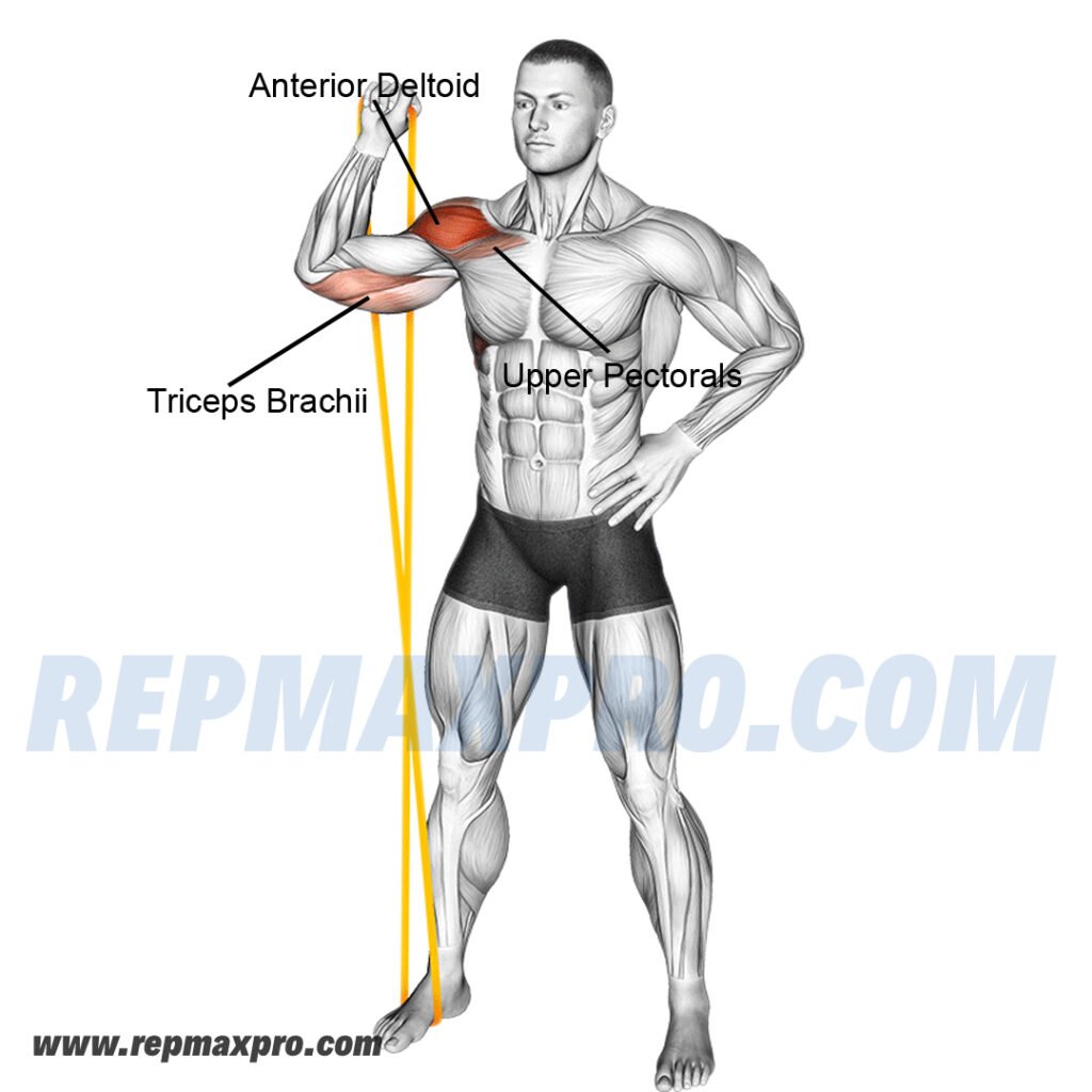 Person performing a band single-arm shoulder press, targeting deltoids, triceps, and core muscles.