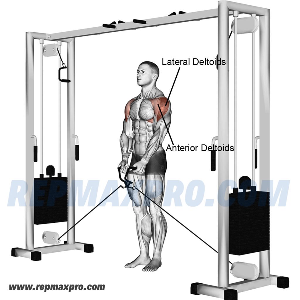 Individual performing a cable lateral raise to target the side deltoids, enhancing shoulder strength and overall upper body balance.