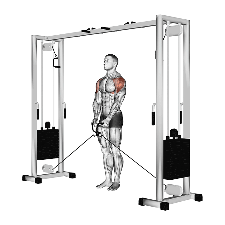 Individual performing a cable lateral raise in a modern gym, targeting side deltoid muscles for shoulder strength and symmetry.