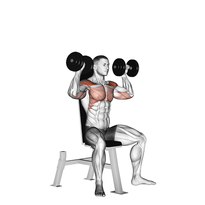 Individual performing a dumbbell shoulder press in a gym, focusing on building shoulder strength and upper body stability.