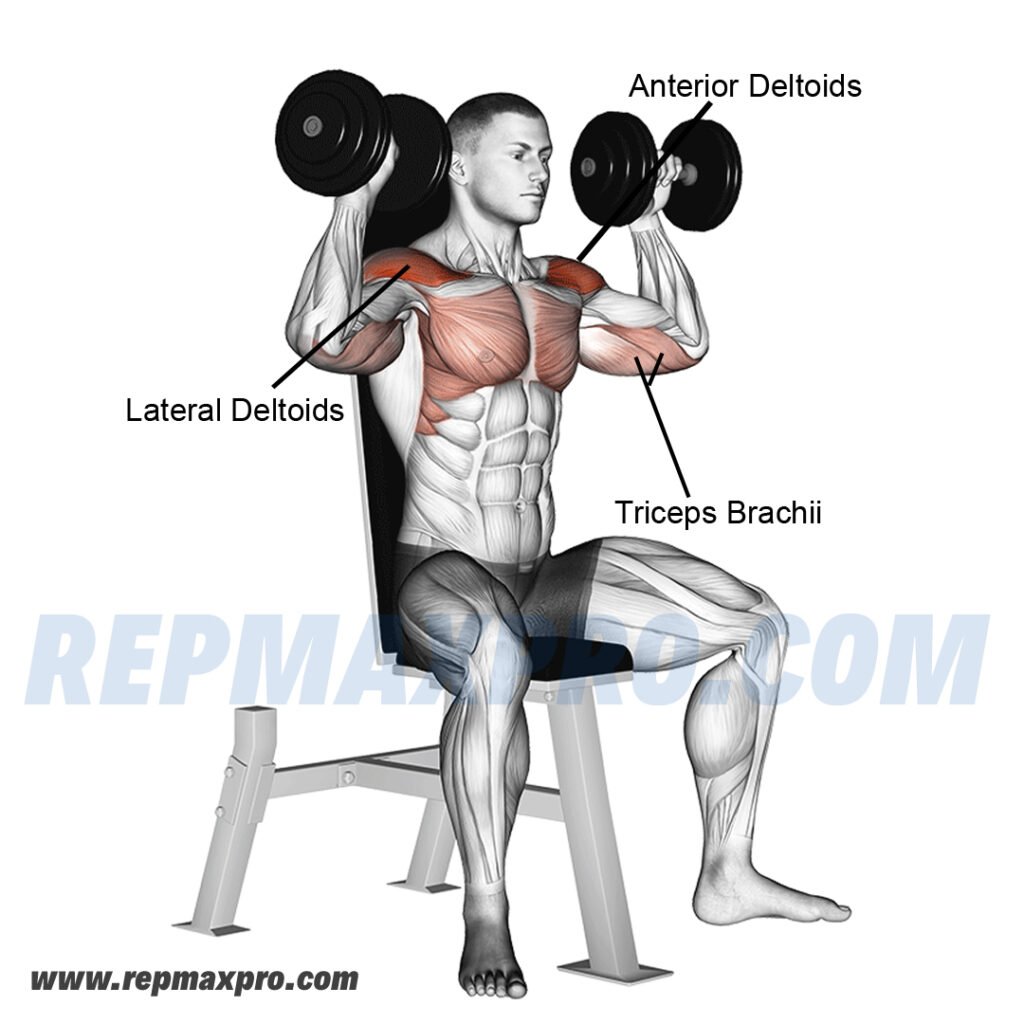 Man performing a dumbbell shoulder press in a gym, targeting deltoids, triceps, and upper chest muscles for strength and stability.