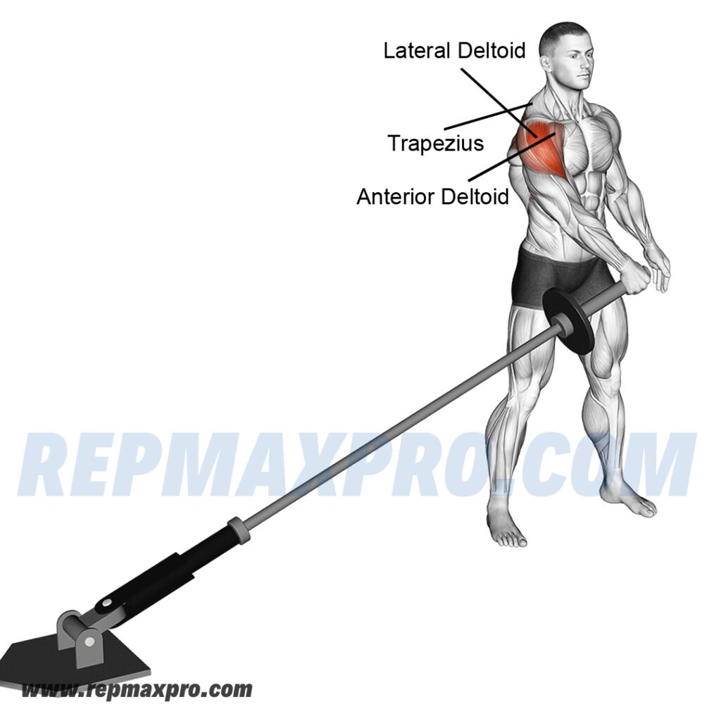 Performing a landmine lateral raise, emphasizing deltoid and trapezius muscle activation for improved shoulder strength and definition.